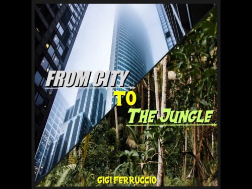 From City To The Jungle – Gigi Ferruccio Città Natura e Dance Music